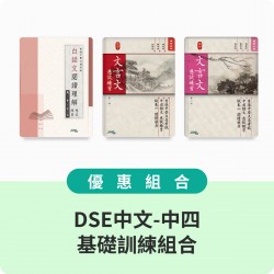 DSE中文-中四基礎訓練組合